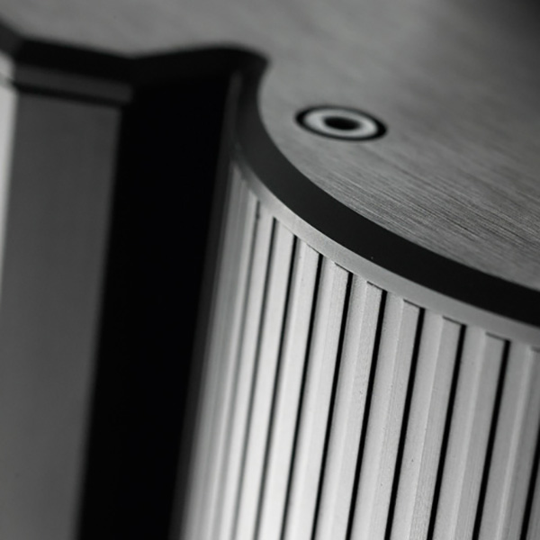 The Gryphon Antileon Signature Stereo macro